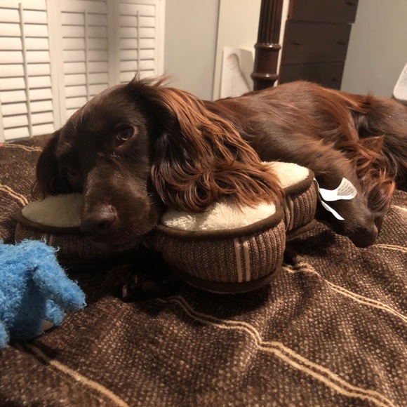 READ THE DETAILS PLEASE! :-) - Picture 9 of 9